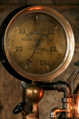 Steampunk Industrial Steam Gauge Lamp, Brass Oiler #1083 - SOLD
